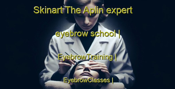 Skinart The Aplin expert eyebrow school | EyebrowTraining | EyebrowClasses | SkinartTraining-United States